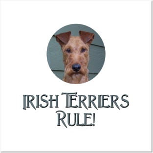 Irish Terriers Rule! Posters and Art